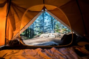 The view from inside a tent out to the wilderness